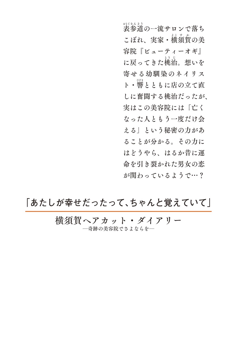 横須賀ヘアカット・ダイアリー ―奇跡の美容院でさよならを― 画像4