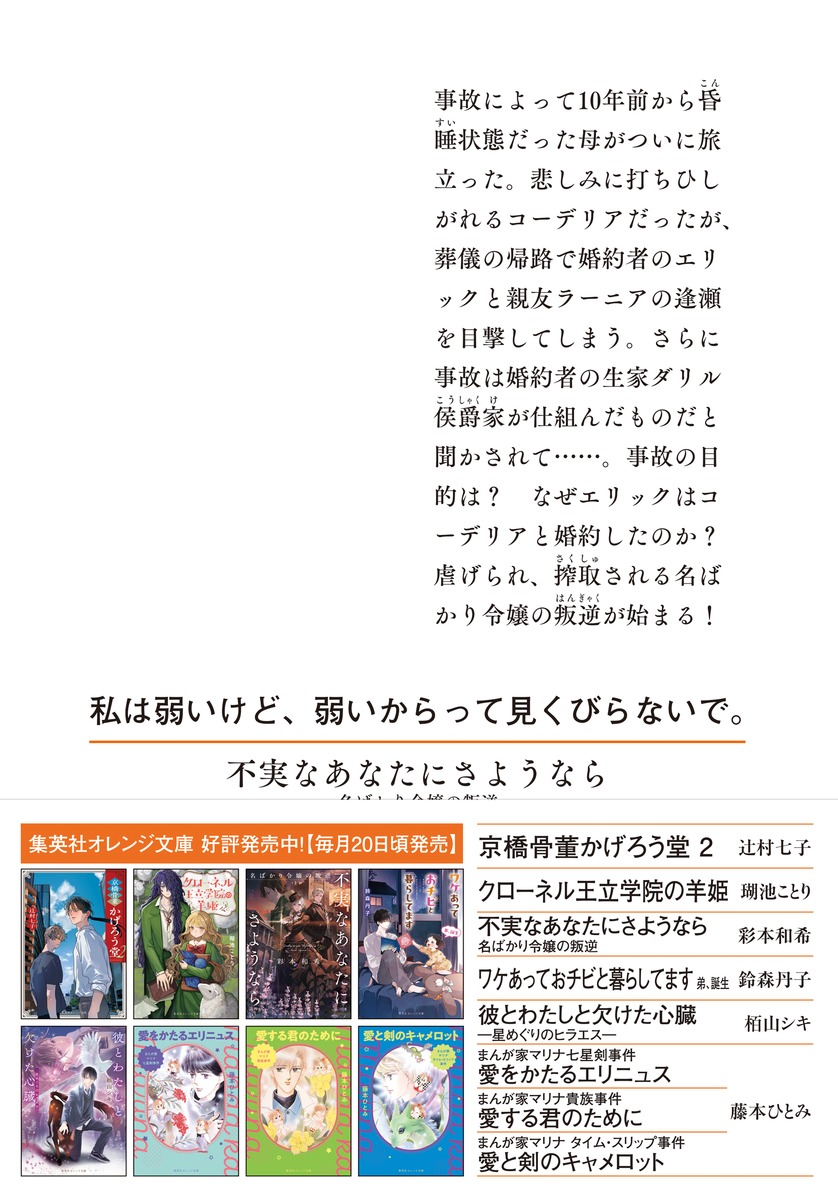 不実なあなたにさようなら 名ばかり令嬢の叛逆 画像3