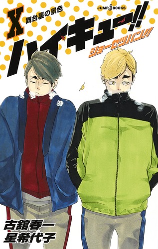 ハイキュー 漫画 Amazon.co.jp: ハイキュー!! 10thクロニクル (ジャンプ