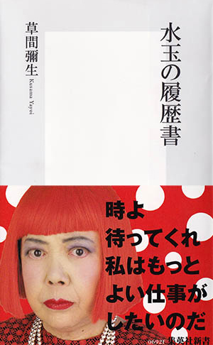 水玉の履歴書 画像1