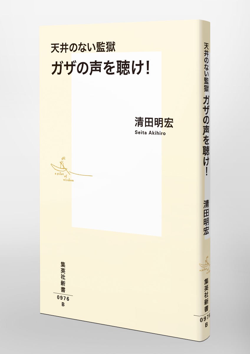 天井のない監獄 ガザの声を聴け! 画像4