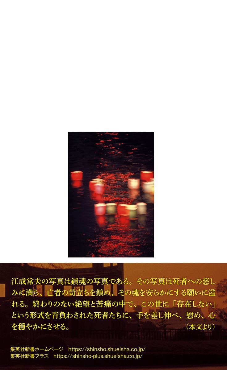 昭和百年への鎮魂 江成常夫のレンズがとらえた戦争 画像3