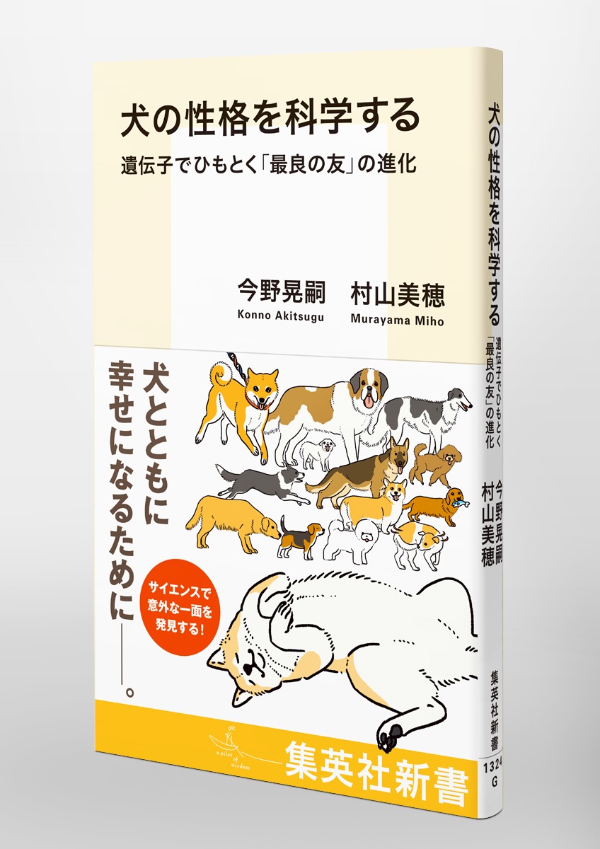犬の性格を科学する 遺伝子でひもとく「最良の友」の進化 画像5