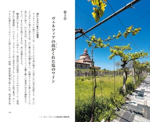 サムネイル13