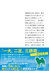 サムネイル3