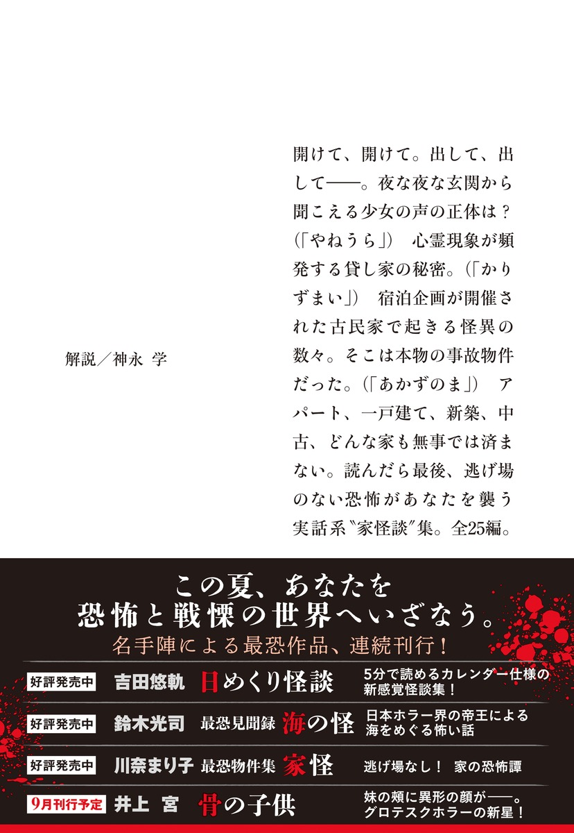 最恐物件集 家怪 画像3