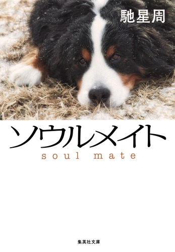 【完売】ソウルメイト（馳星周）2026年7月購入◎書店のブックカバーと栞つき ソウルメイト／馳 星周 | 集英社 ― SHUEISHA ―
