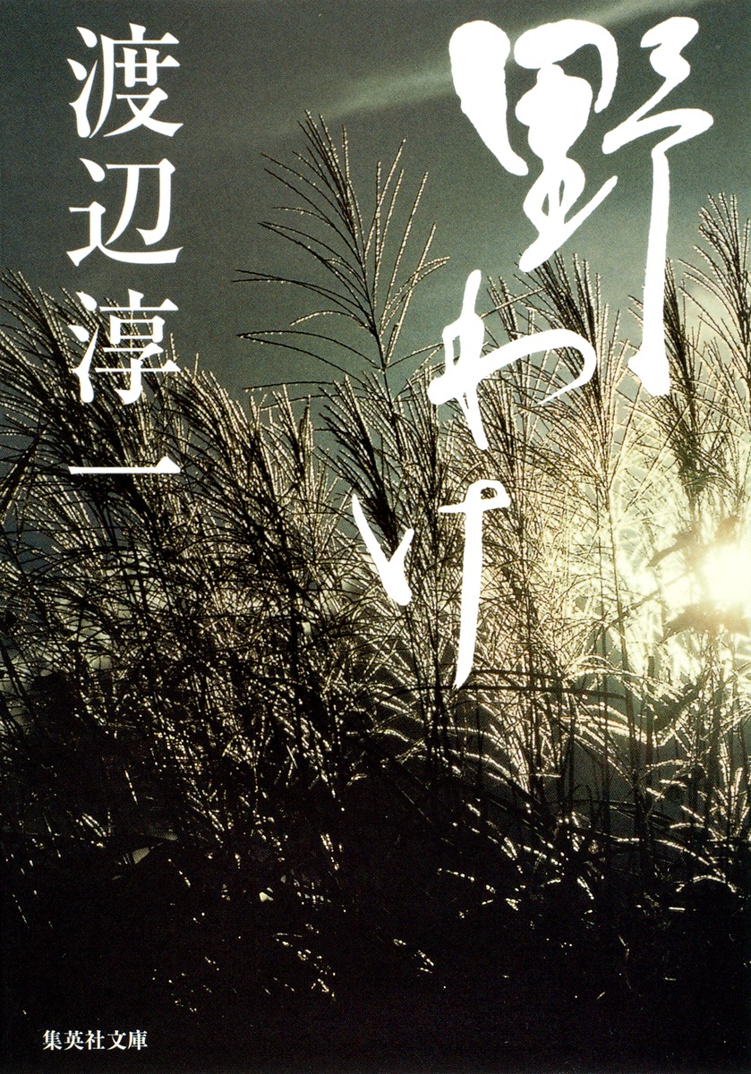 野わけ／渡辺 淳一 | 集英社 ― SHUEISHA ―