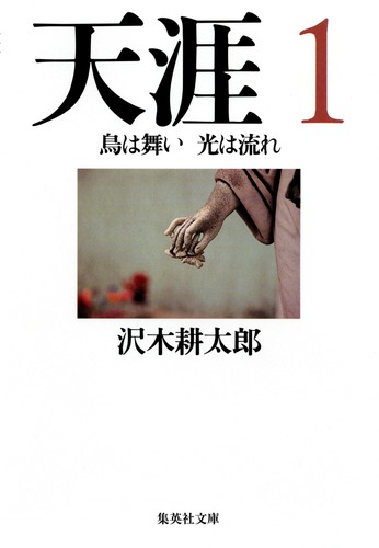 天涯 1 鳥は舞い 光は流れ／沢木 耕太郎 | 集英社 ― SHUEISHA ―