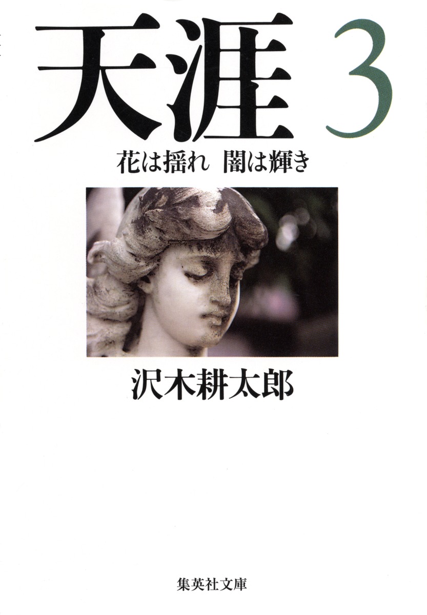 驚きの激安価格 天涯 3 ― SHUEISHA ― 集英社 | 耕太郎 闇は輝き／沢木 花は揺れ 地図・旅行ガイド