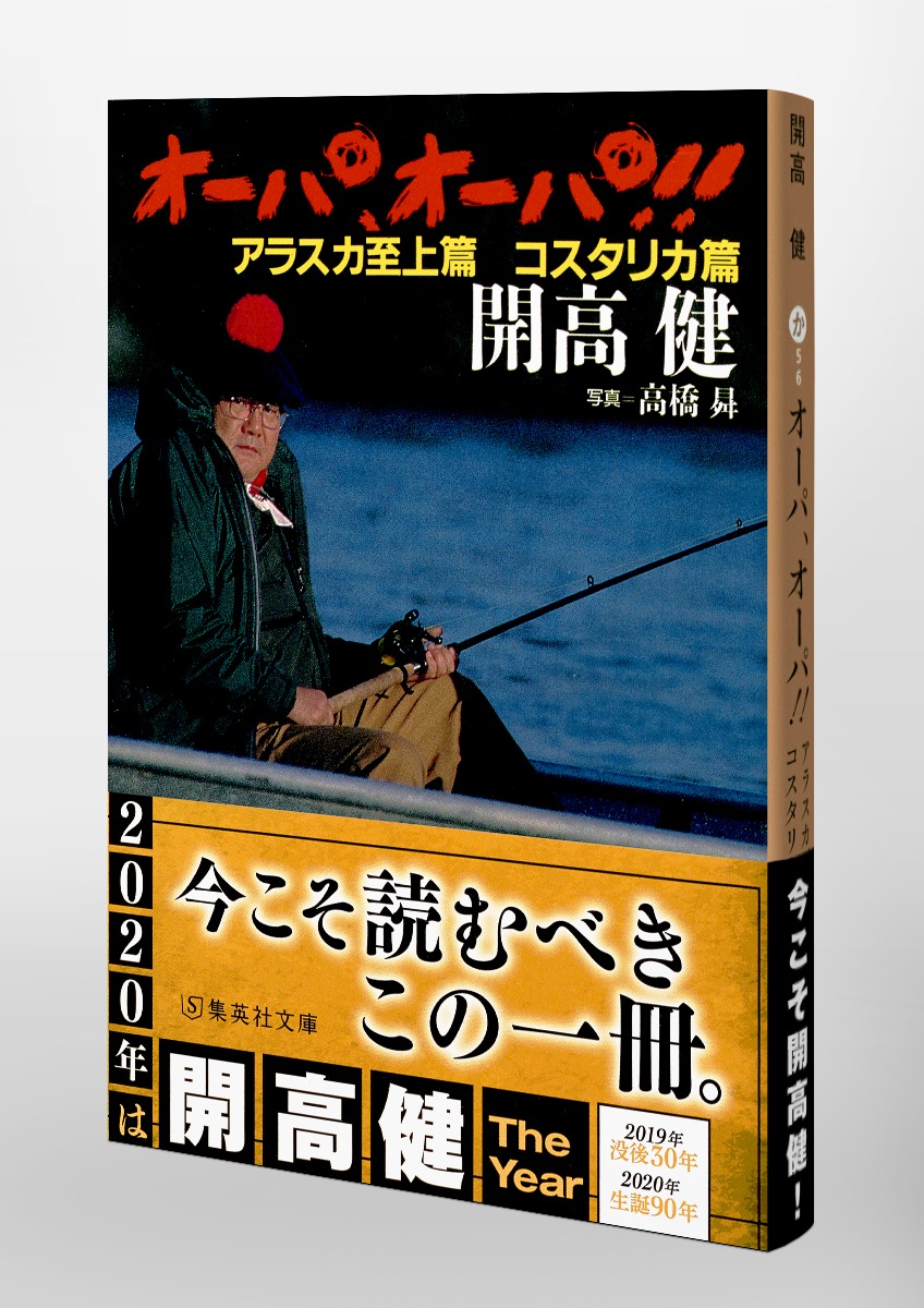 開高健の釣り本セット12冊 - 本