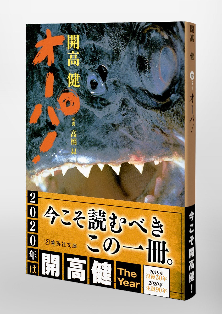 新品 オーパ！ 開高健 ジャングルを蛇行するアマゾンは魚たちのユートピア 殺し屋ピラニヤ 巨魚 怪魚を求め褐色の大河に挑んだ60日16千キロ -  serielec.fr