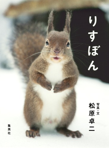 りすぽん  SRIXON ダンロップ スリクソン ZX Mk II 専用ヘッドカバー メーカー