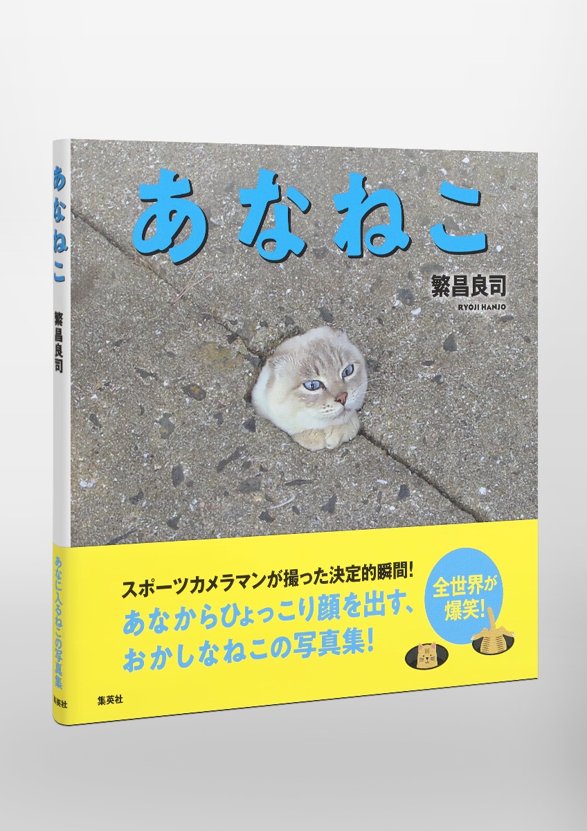 あなねこ 画像5