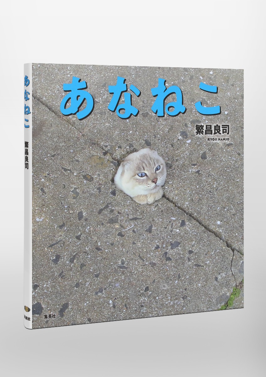 あなねこ 画像6