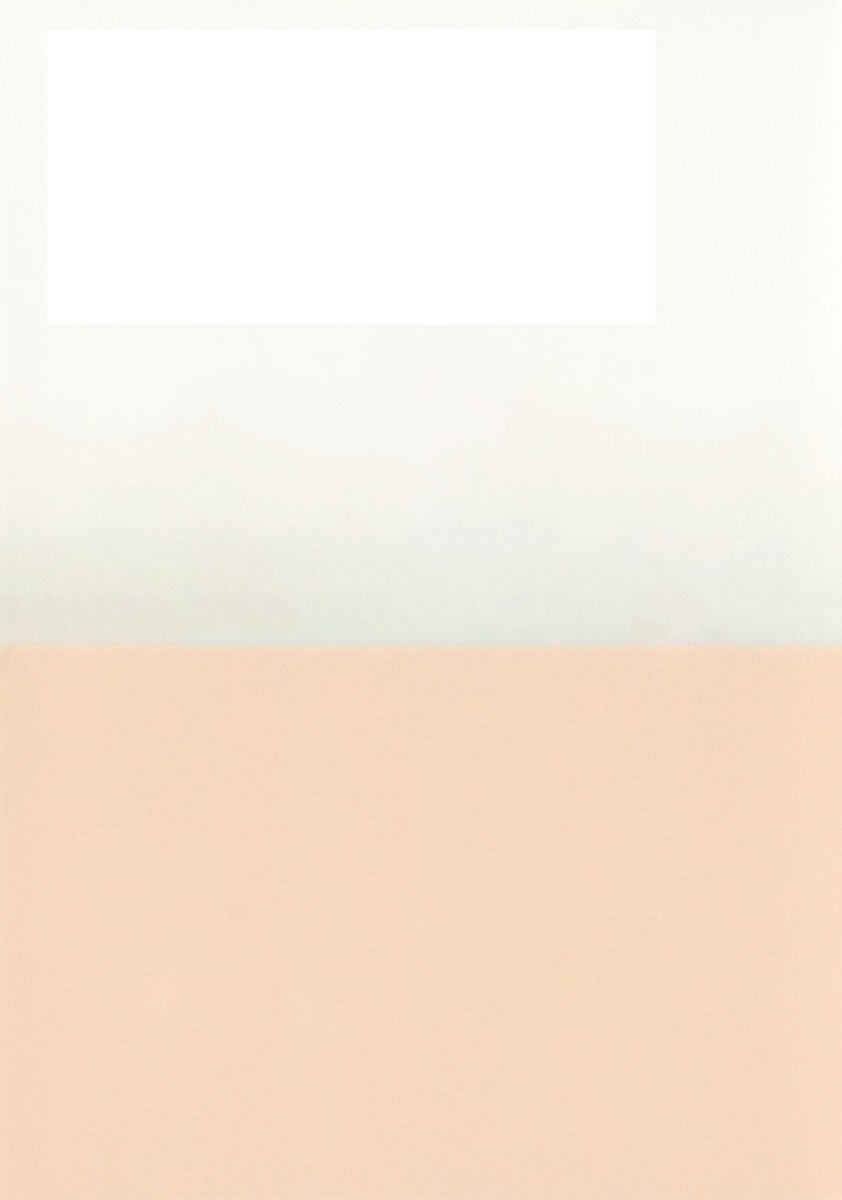 見えない死神 原発不明がん、百六十日の記録 画像4