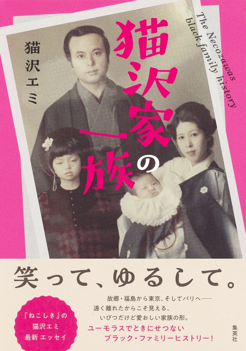 猫沢エミ emi necozawa B2ポスター (2E03004)