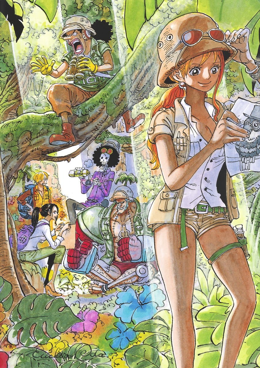 ONE PIECE COLOR WALK 1: 尾田栄一郎画集 [Book]