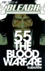 BLEACH―ブリーチ―／55