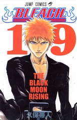 BLEACH―ブリーチ―／19