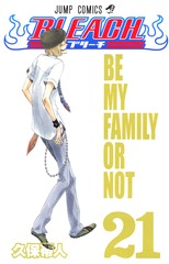 BLEACH―ブリーチ―／21