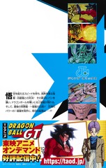 Dragon Ball GT Anime Comics: Saga Dragones Malignos (ドラゴンボールGT アニメコミックス  邪悪龍編) (集英社 Shūeisha)