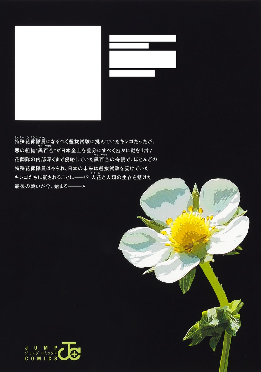 ワイルドストロベリー 7

の画像2
