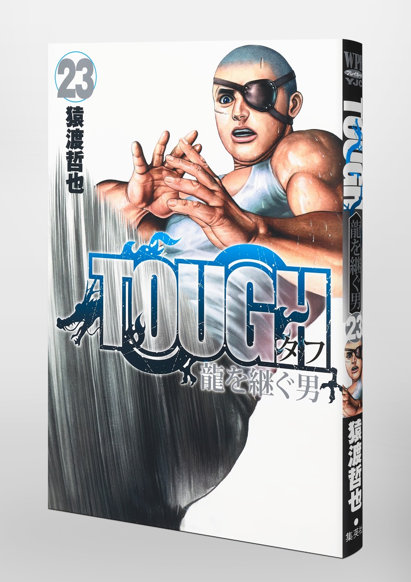 高校鉄拳伝タフ TOUGH 龍を継ぐ男 23巻 - 全巻セット