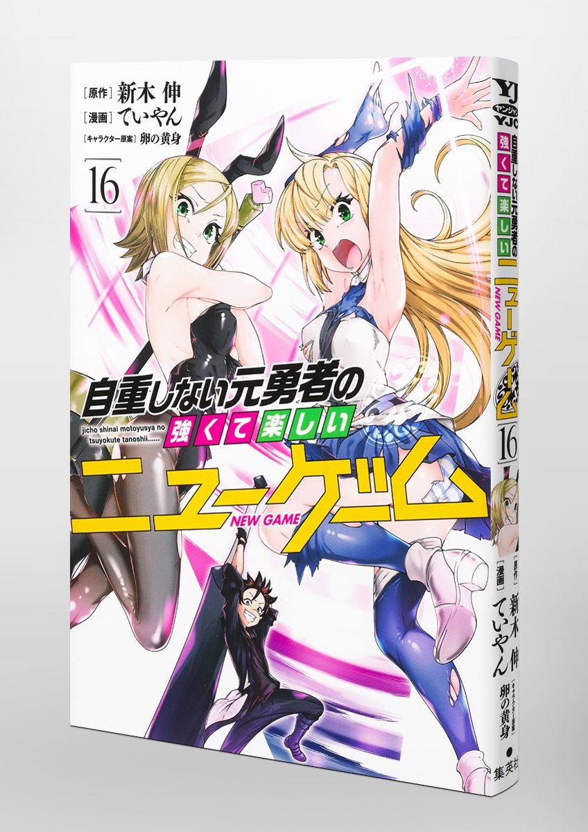 自重しない元勇者の強くて楽しいニューゲーム 16／ていやん／新木 伸