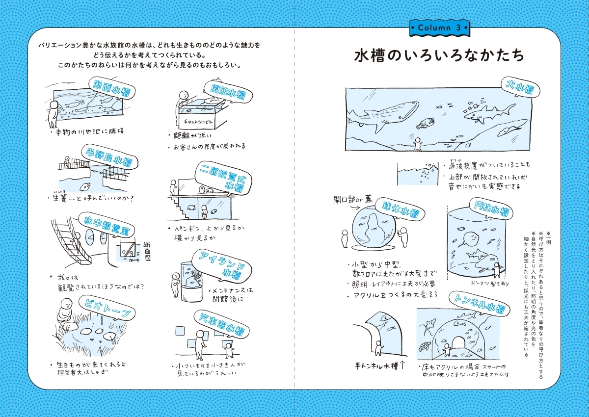 水族館飼育員のただならぬ裏側案内 画像11