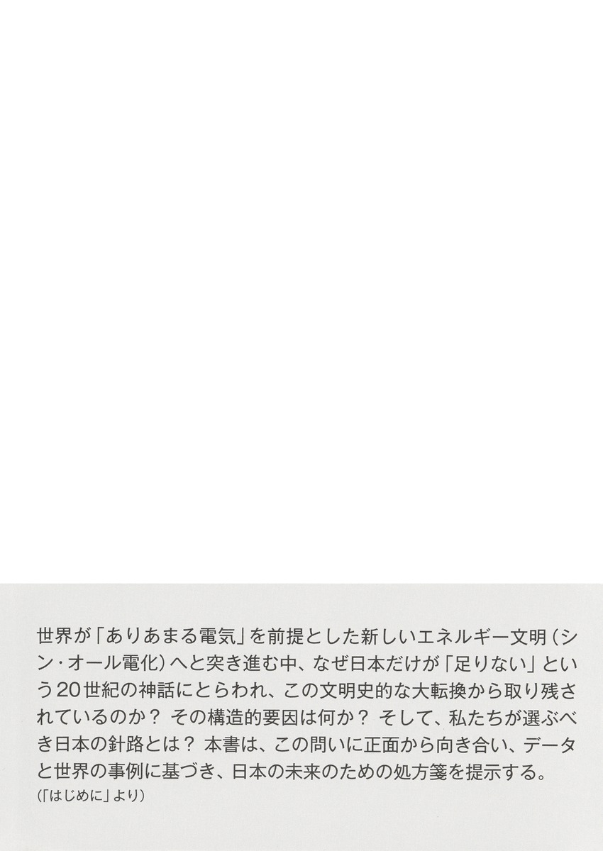 Ei革命 エネルギー知性学への進化と日本の針路 画像3