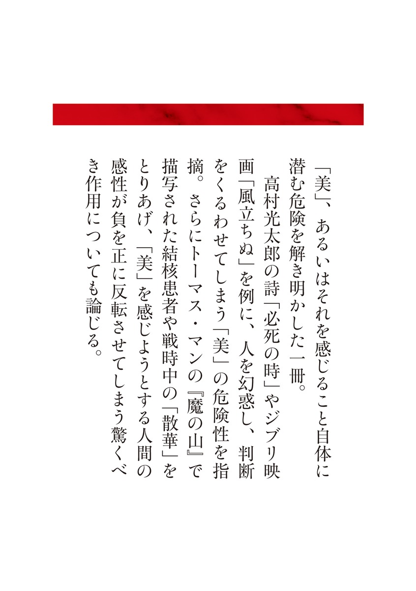 危険な「美学」 画像7