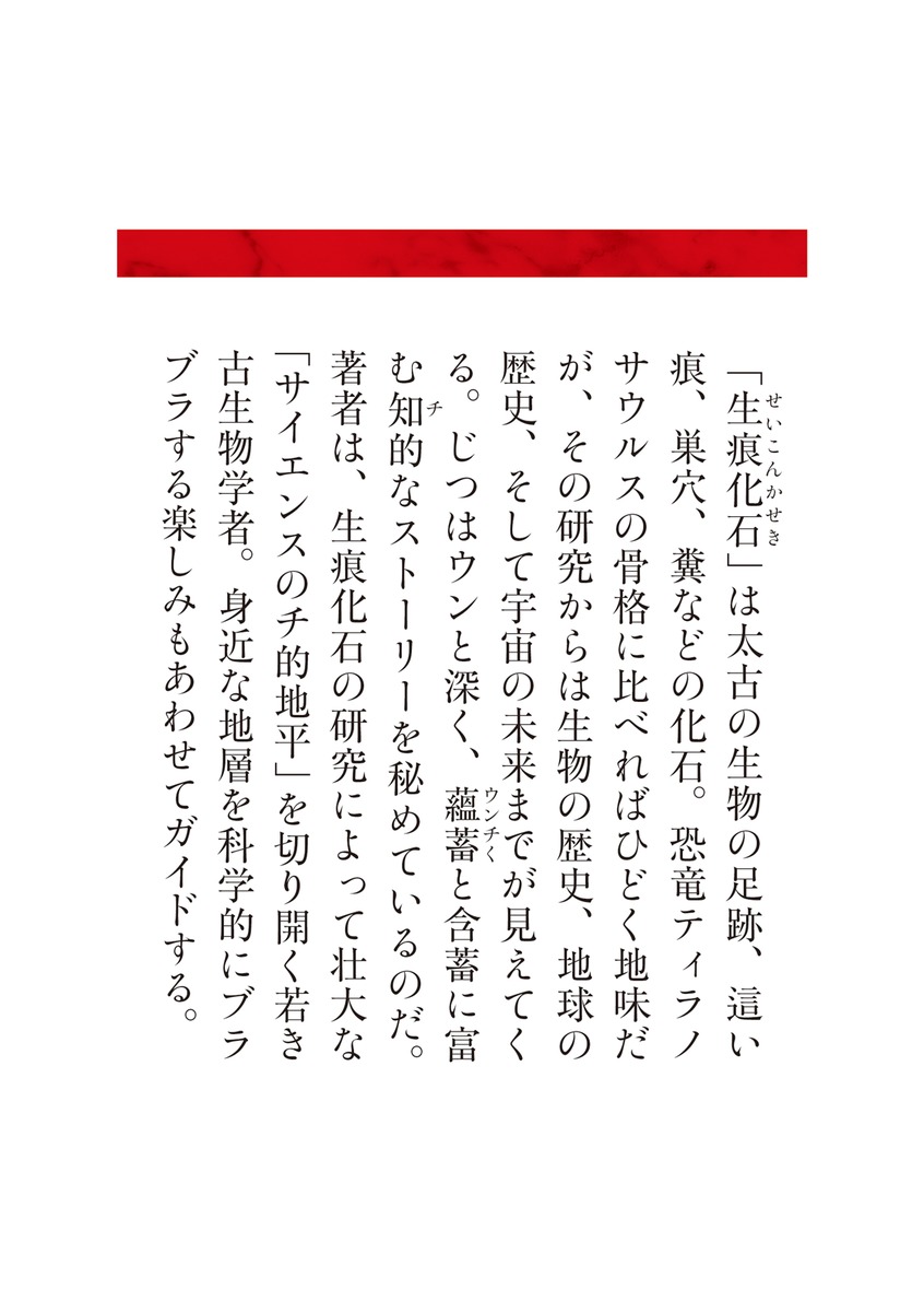 ウンチ化石学入門／泉 賢太郎 | 集英社 ― SHUEISHA ―
