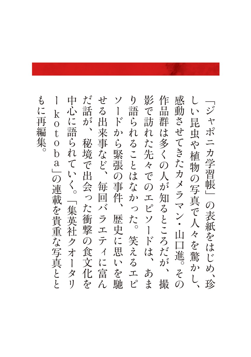 昆虫カメラマン、秘境食を味わう 人は何を食べてきたか 画像7