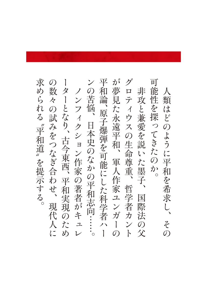 人類1万年の歩みに学ぶ 平和道 画像7