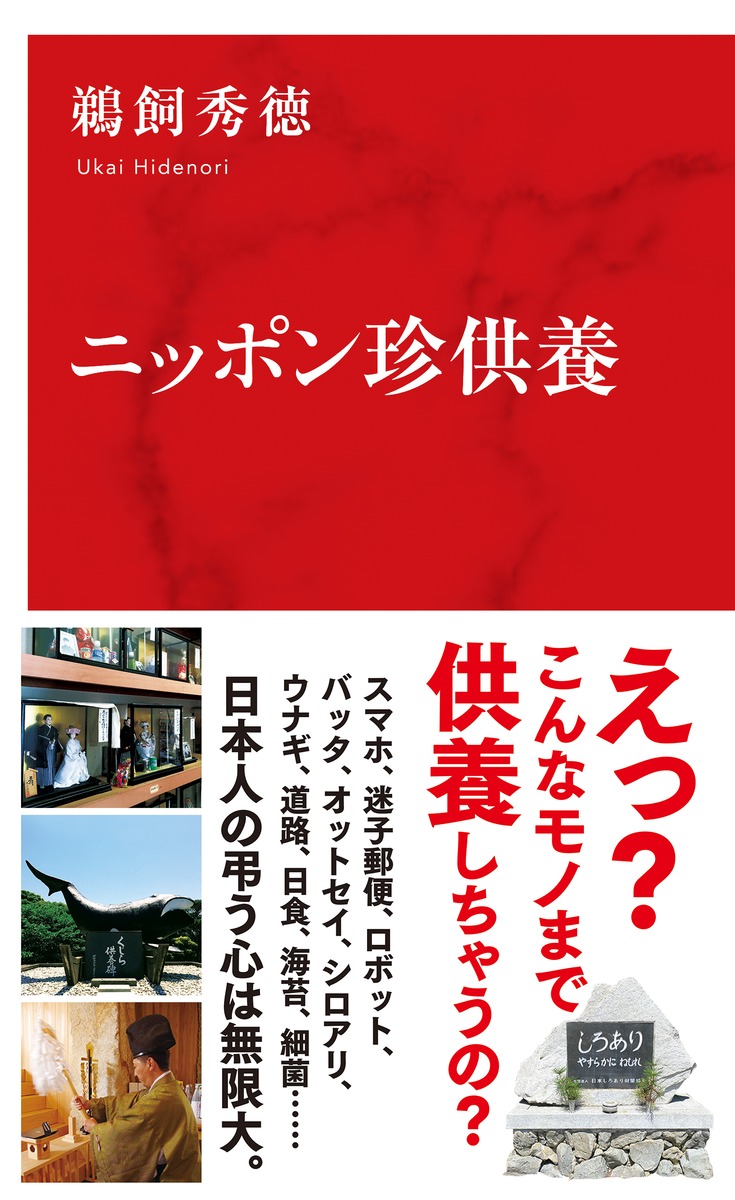 ニッポン珍供養 画像1