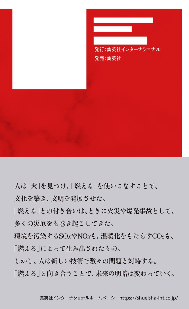 燃えるとは何か 画像3