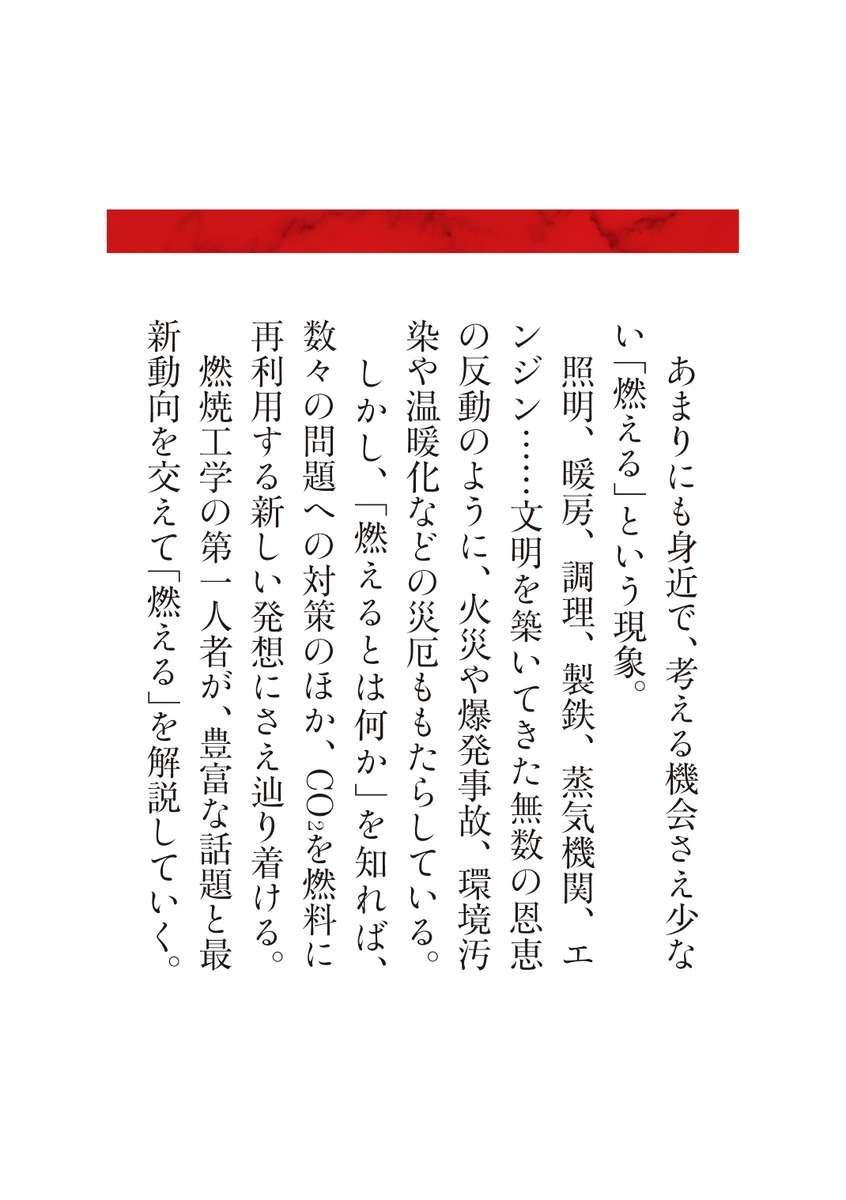 燃えるとは何か 画像7