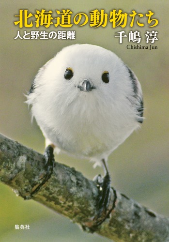 北海道動物記 : 生態観察の写真と記録 北海道の動物たち 人と野生の距離／千嶋 淳 | 集英社 ― SHUEISHA ―