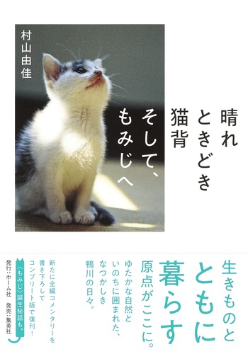 晴れときどき猫背 そして、もみじへ／村山 由佳 | 集英社 ― SHUEISHA ―