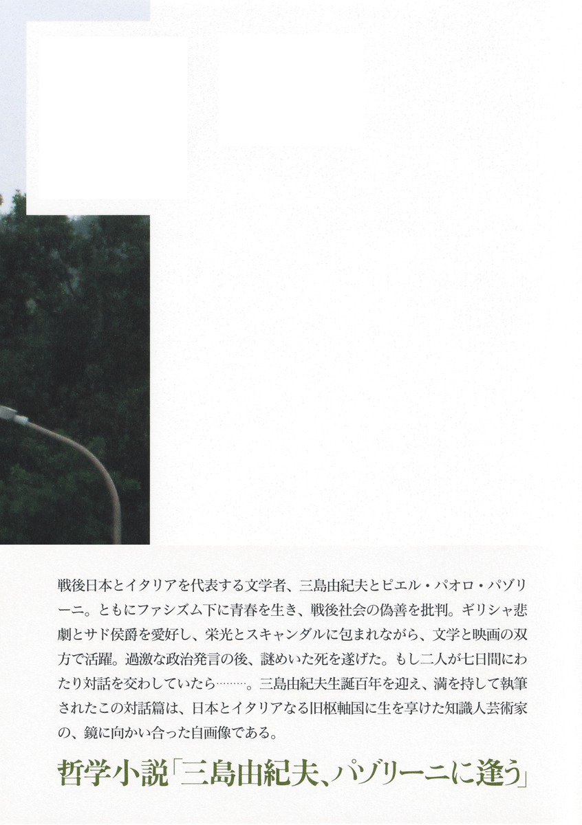 三島由紀夫を見つめて 画像3